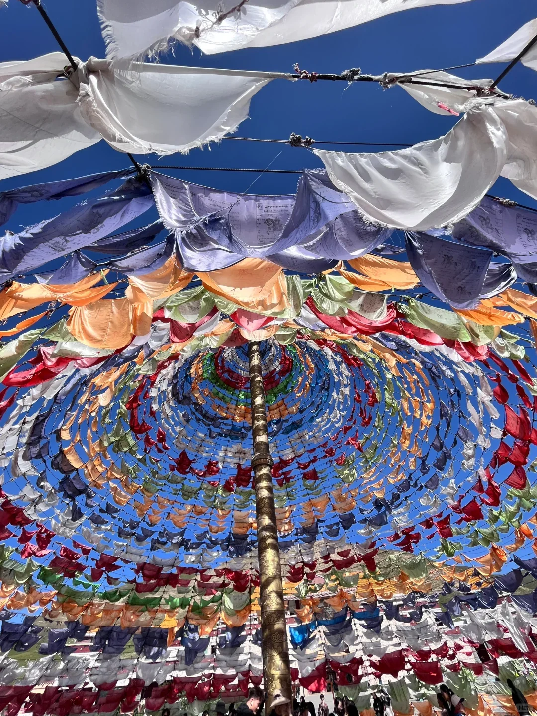 青甘🎨7天6晚💭人均2739💰大西北圆梦