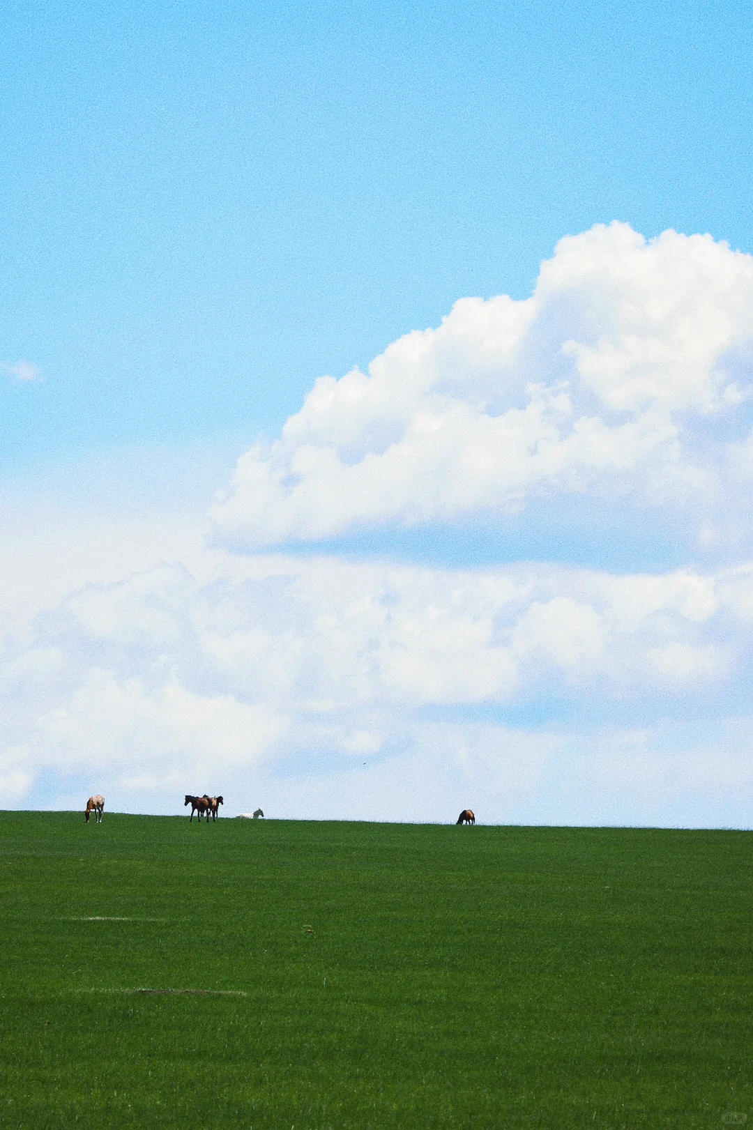 世界慢慢游｜把向往的路 都变成走过的地方