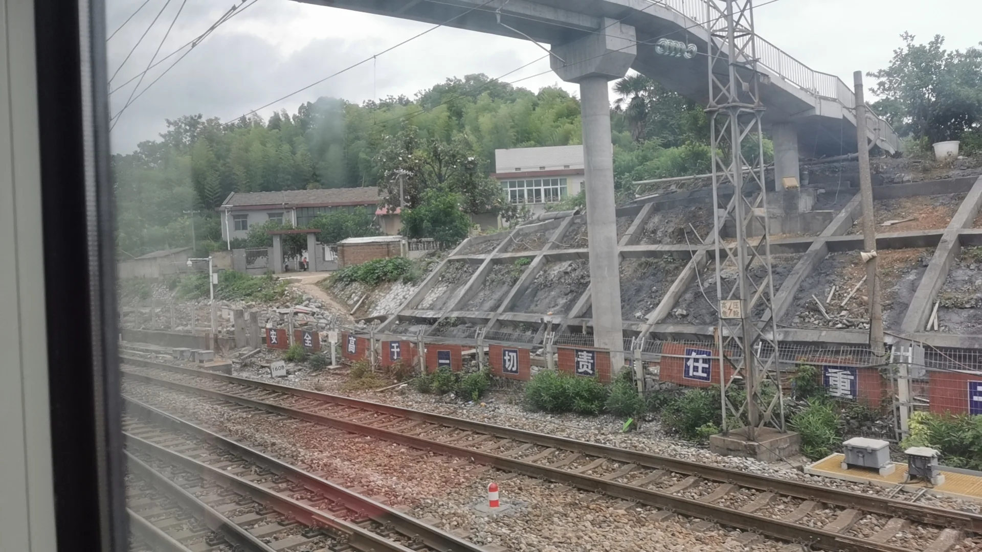 新疆环线专列游的坑