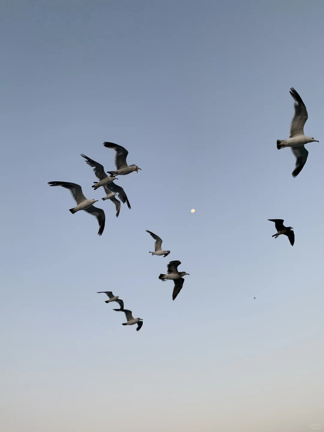 建议：一定要去一次大连！！