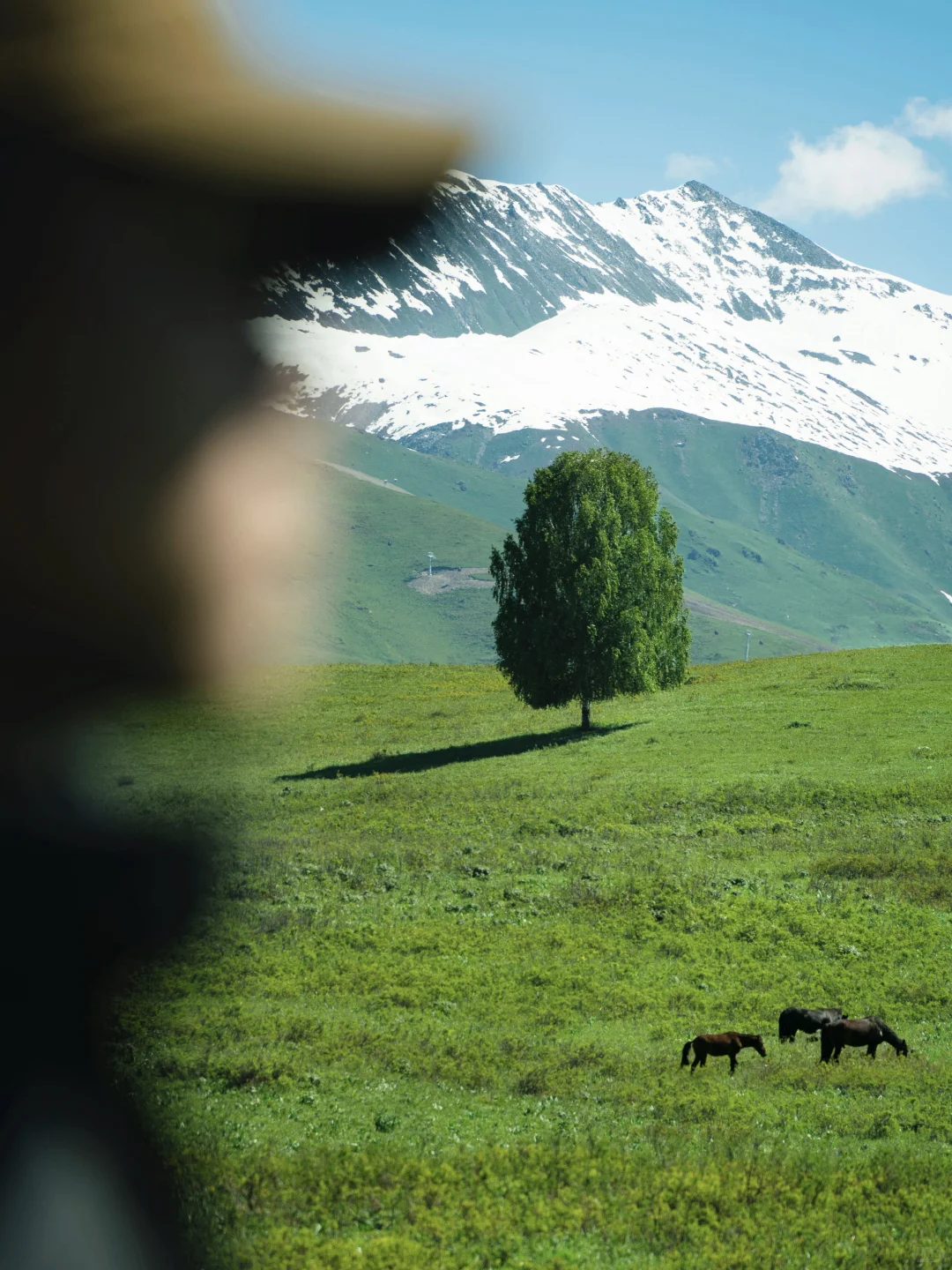 2024，我徒步去过最美的15个地方！！