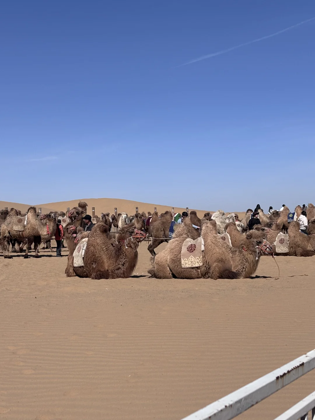 内蒙古|逃离城市计划