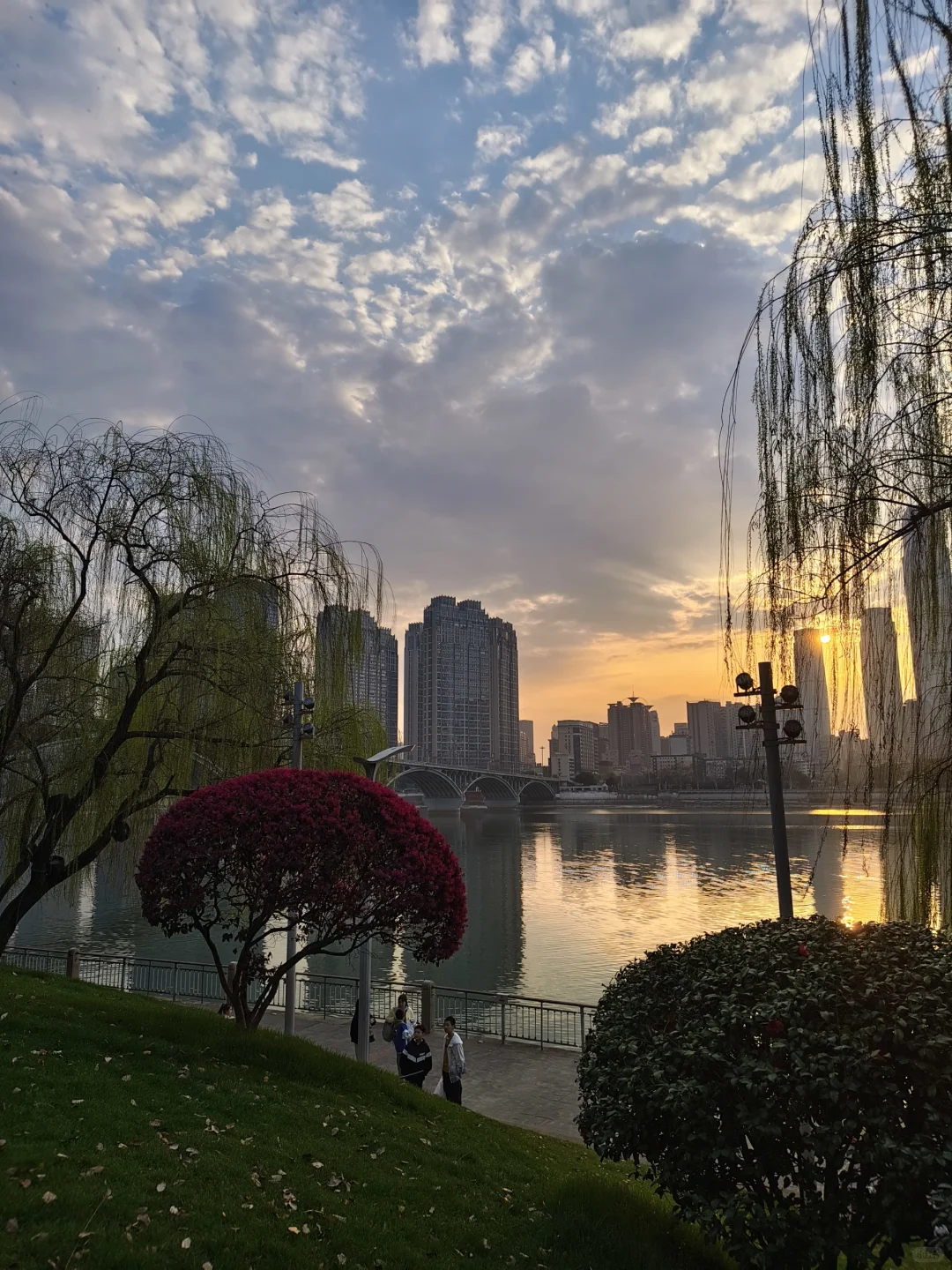 那些我尚未知道的美丽——长沙橘子洲