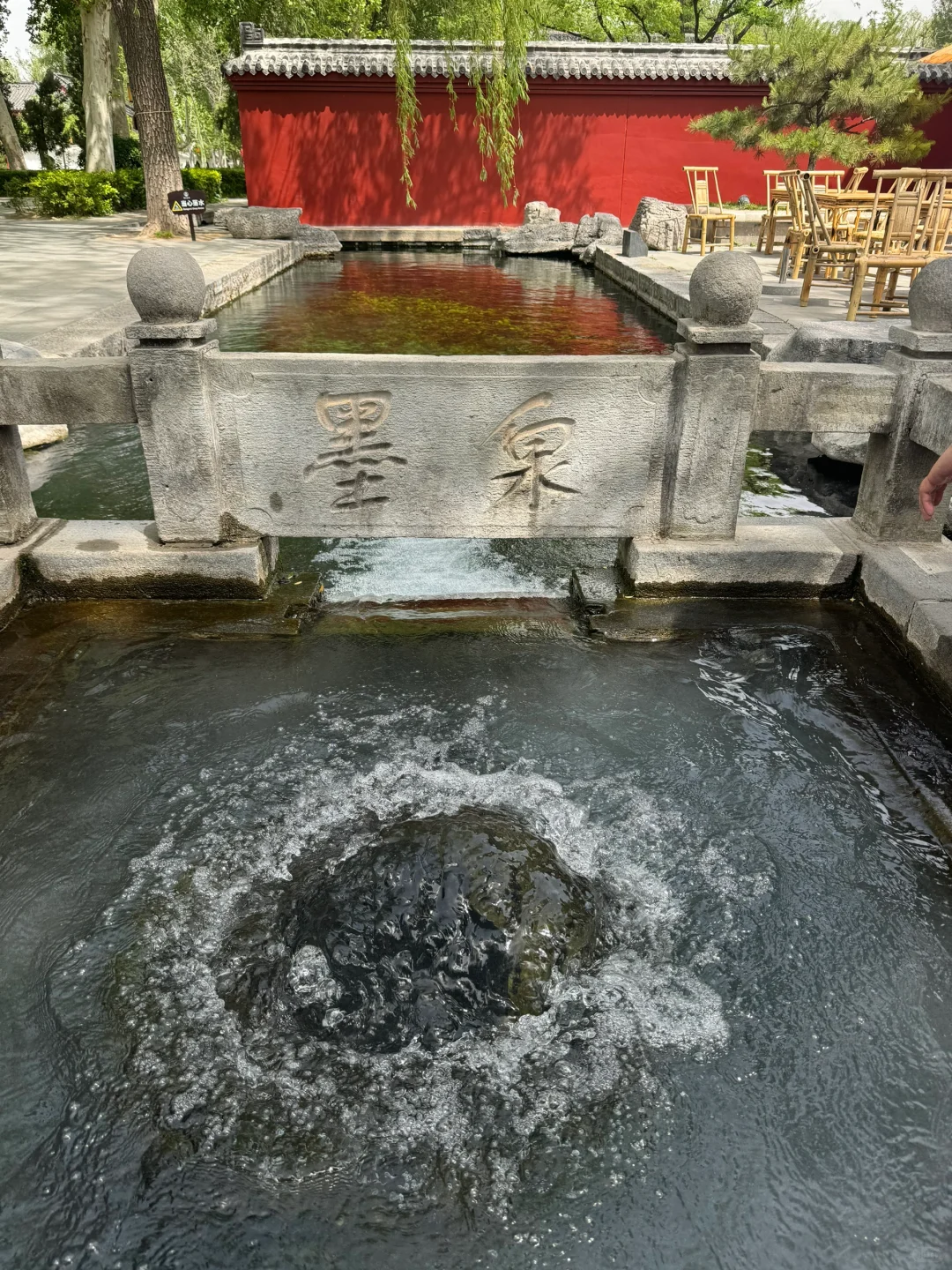 济南请你好好宣传这里❗️这水乡古城太美了！