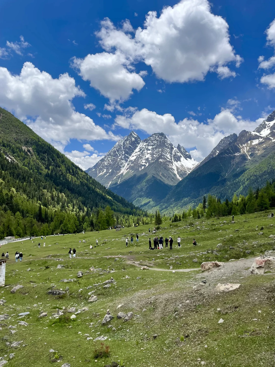 6.13live！初夏的四姑娘山美到窒息！！附攻略