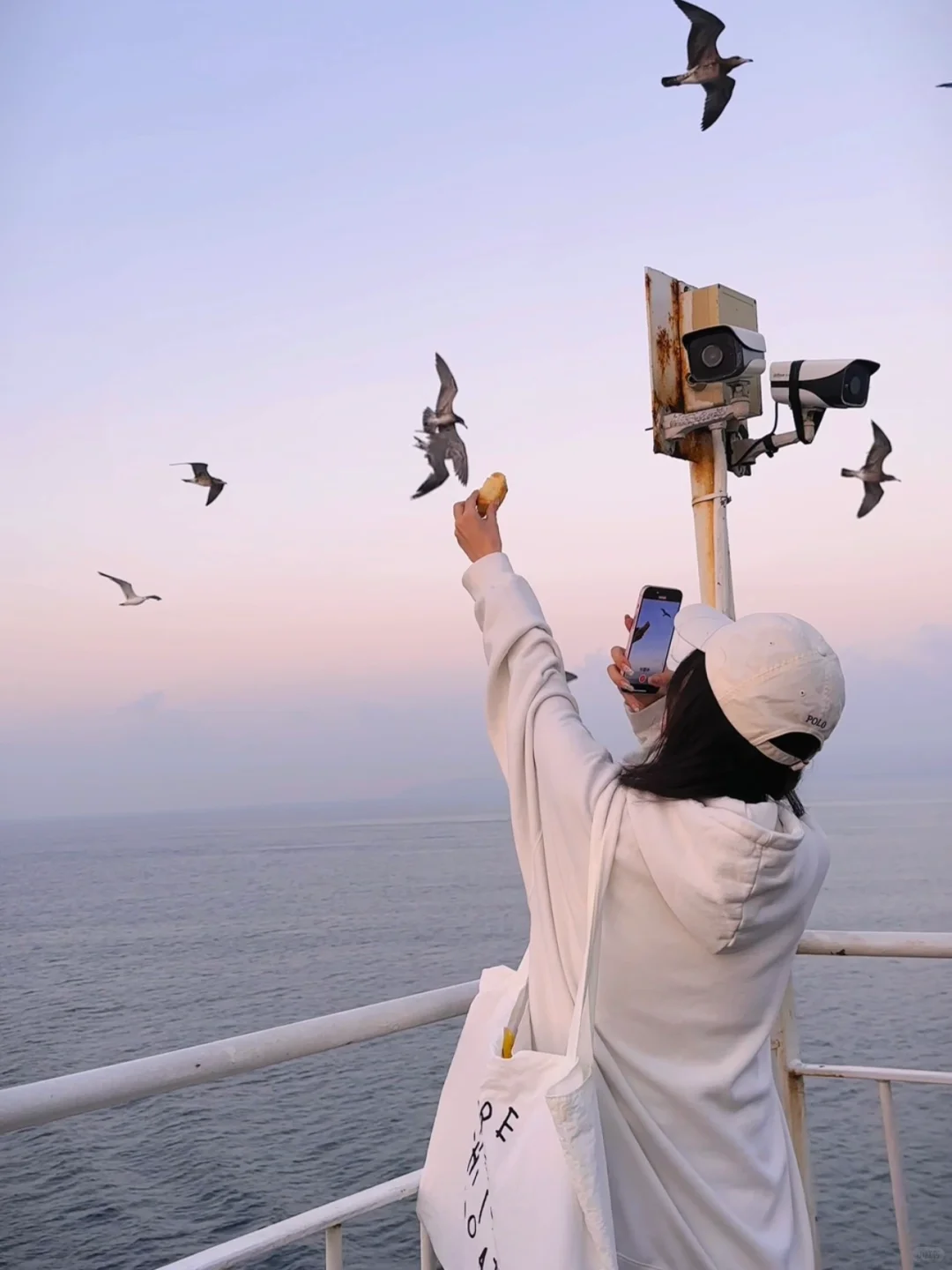 建议：一定要去一次大连！！