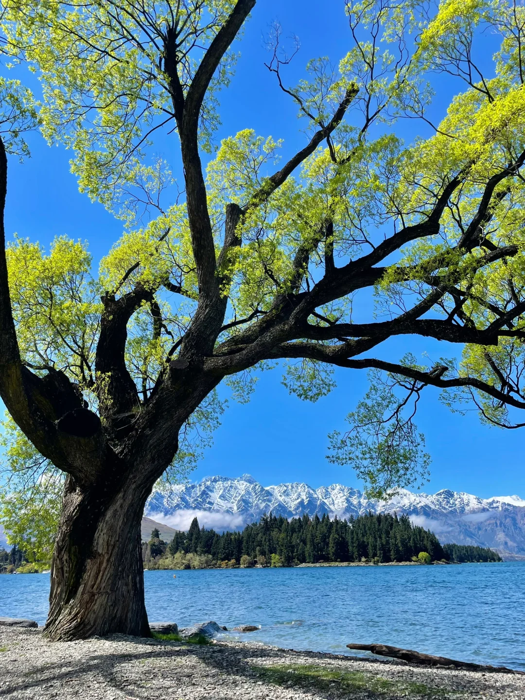 这个蓝是真实存在的！live图