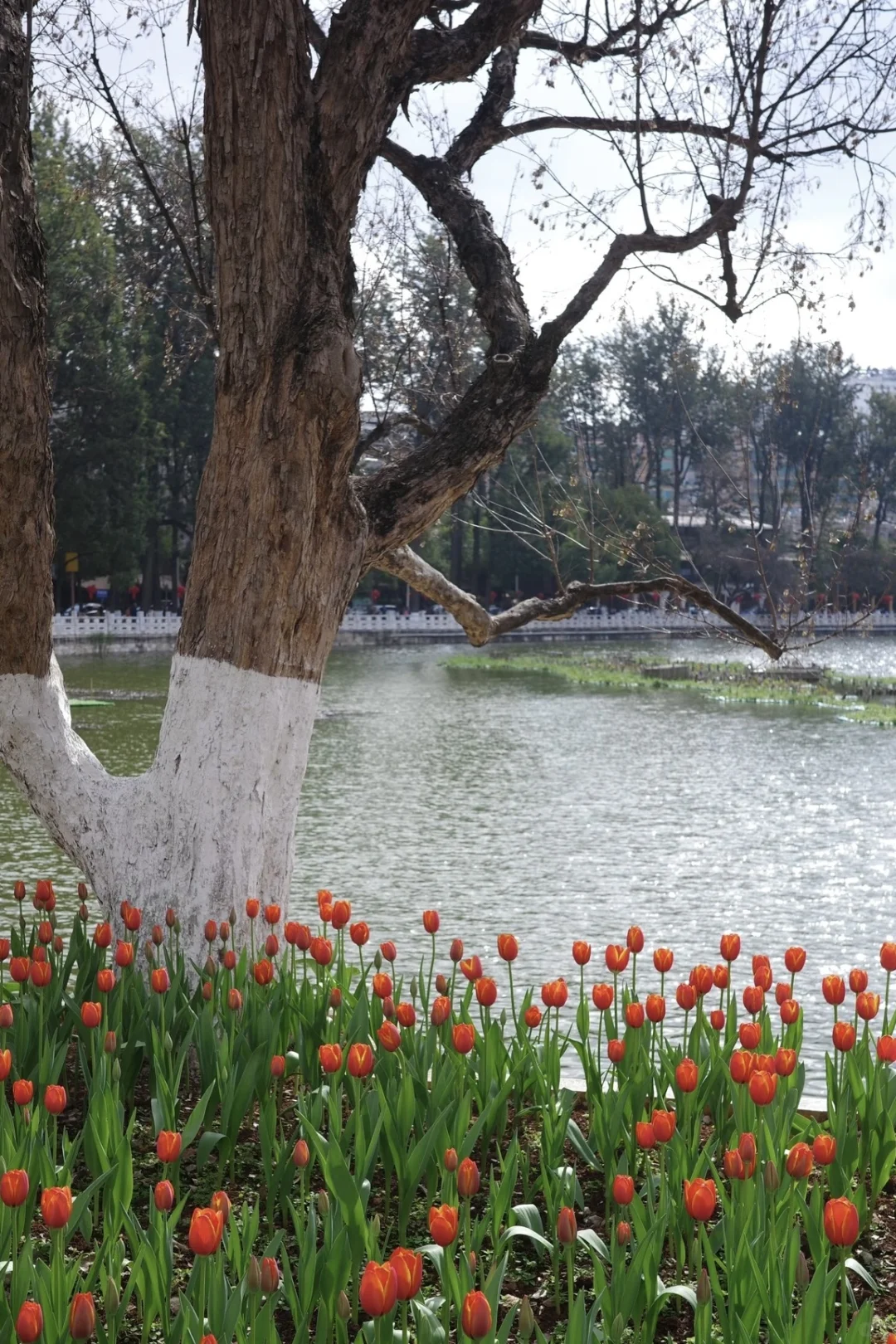 国内适合女生solotrip城市推荐（欢迎补充