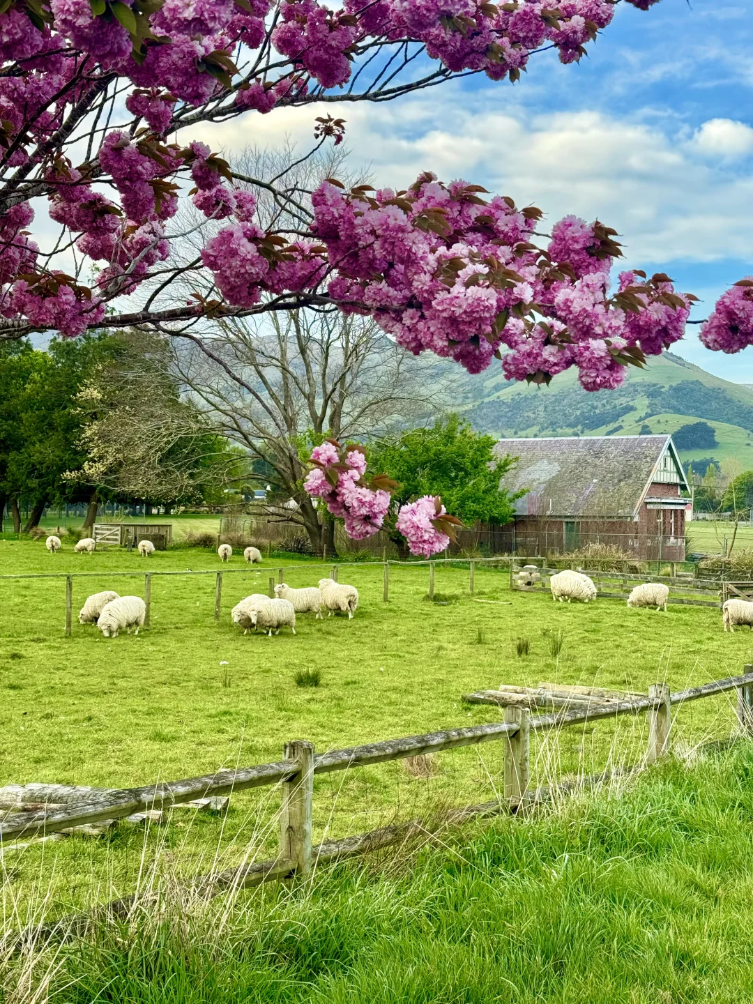 这个蓝是真实存在的！live图