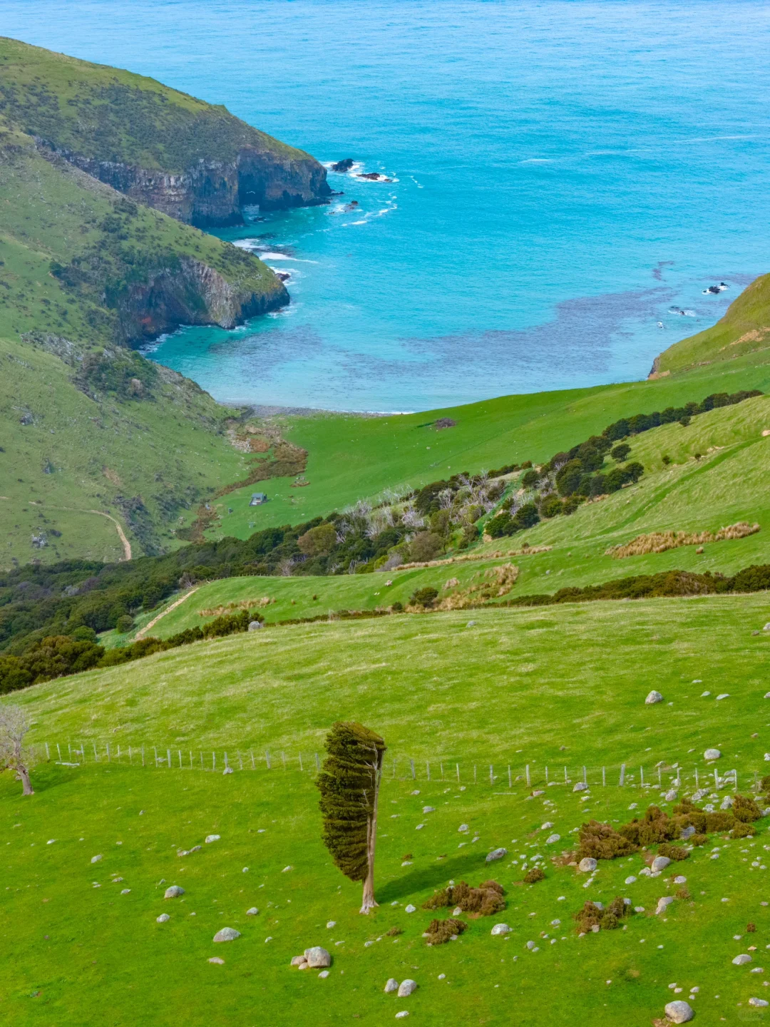 这个蓝是真实存在的！live图