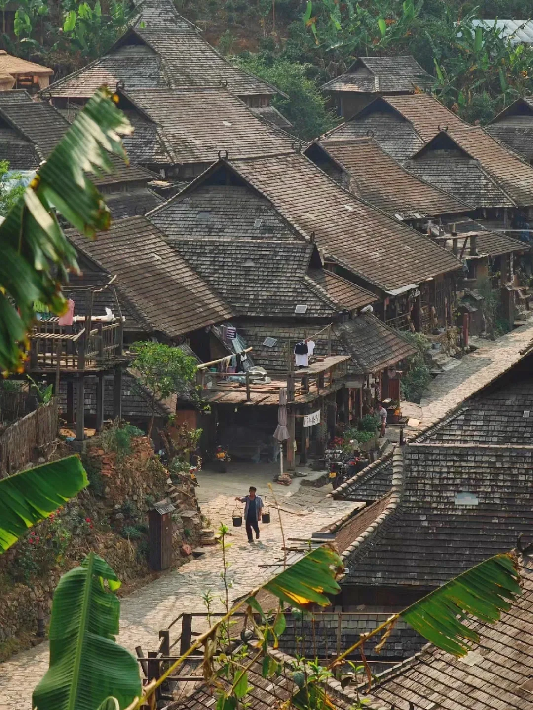 比大理松弛，国内唯一以茶命名的城市