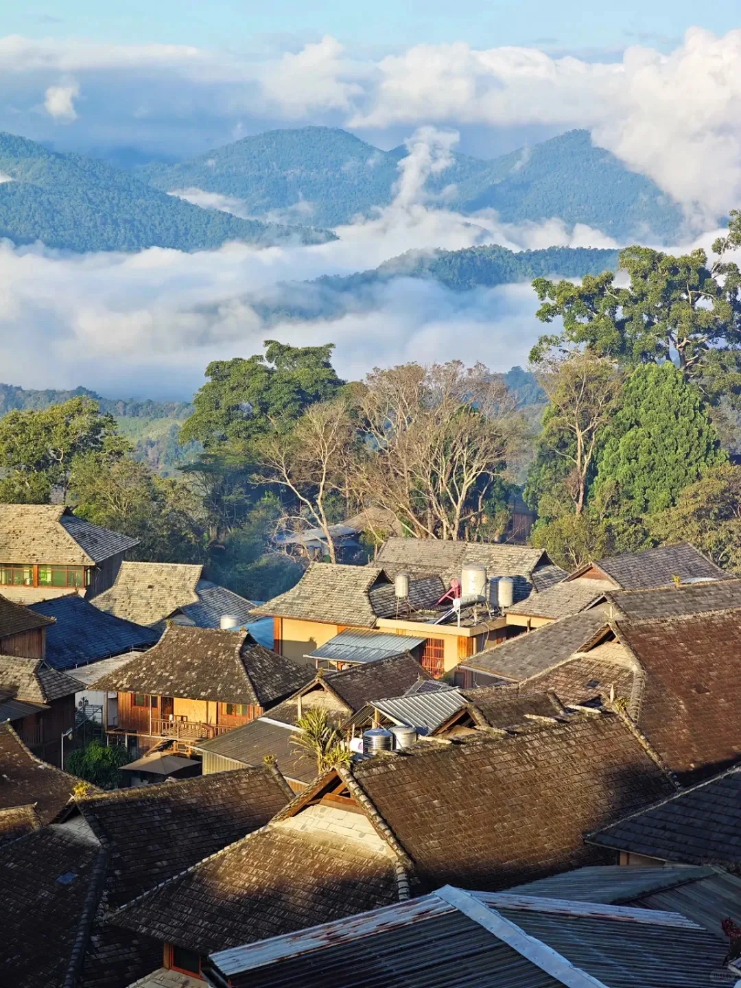 比大理松弛，国内唯一以茶命名的城市