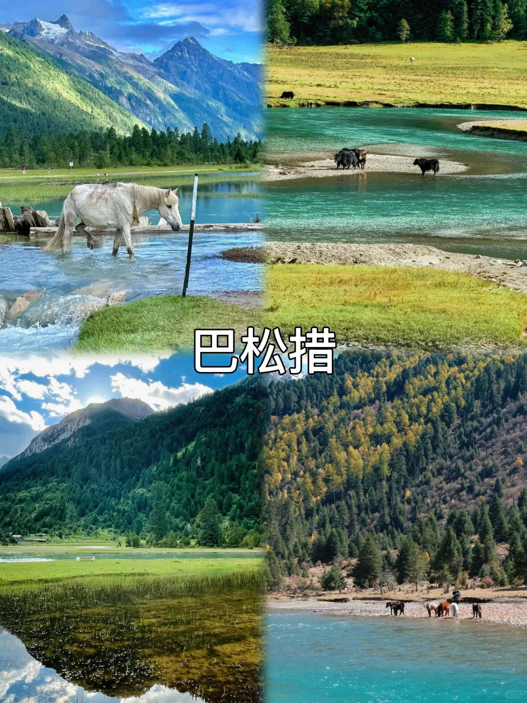 西藏必去九大景点‼️在来之前一定要看‼️