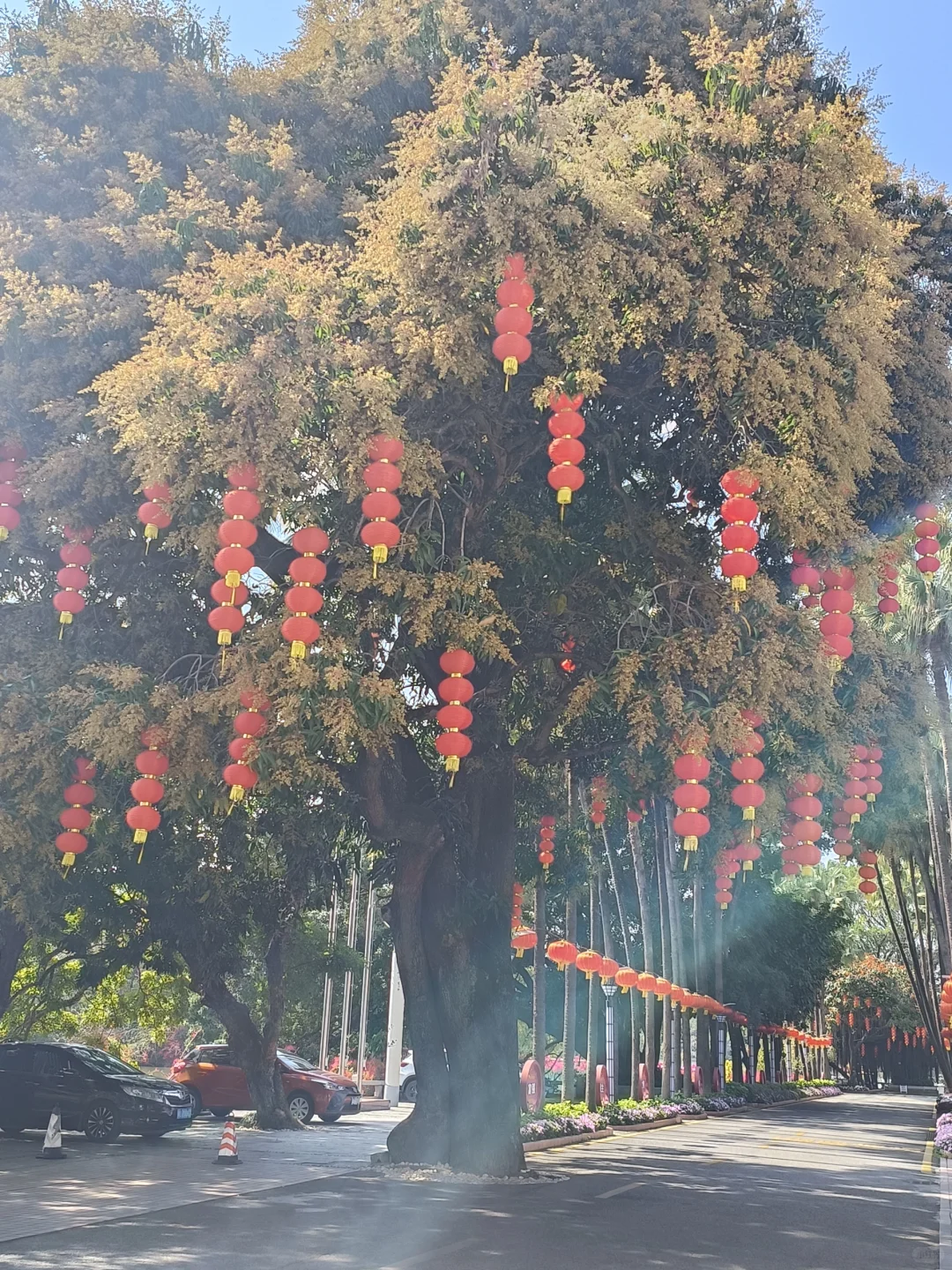 惠州西湖 水东街 752