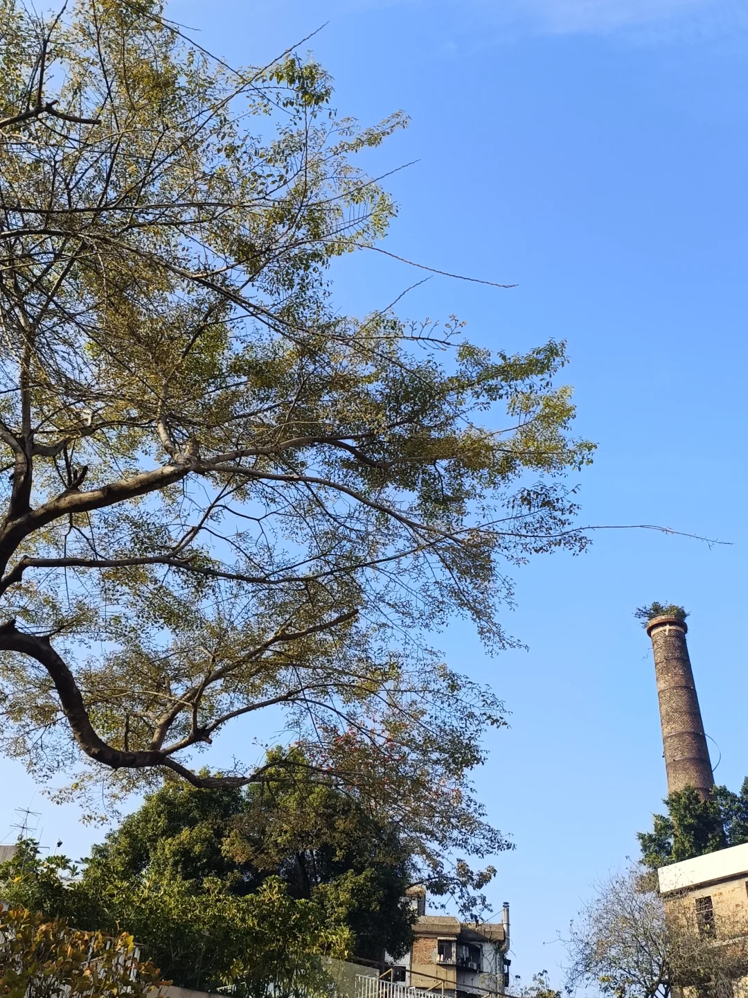 惠州西湖 水东街 752