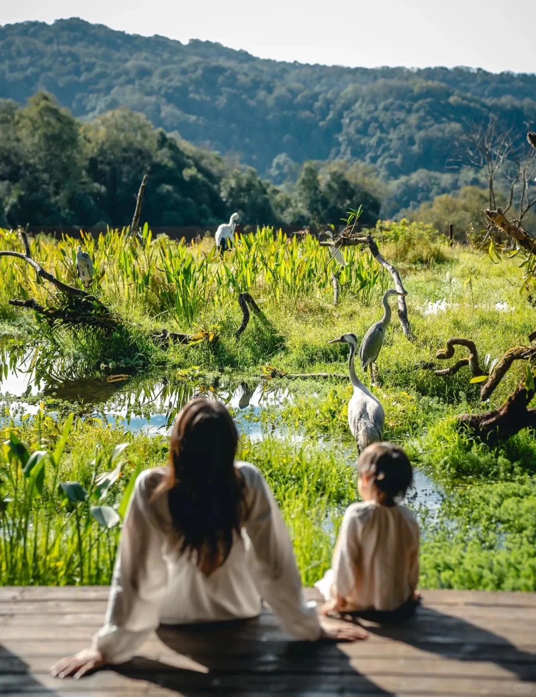 比大理松弛，国内唯一以茶命名的城市