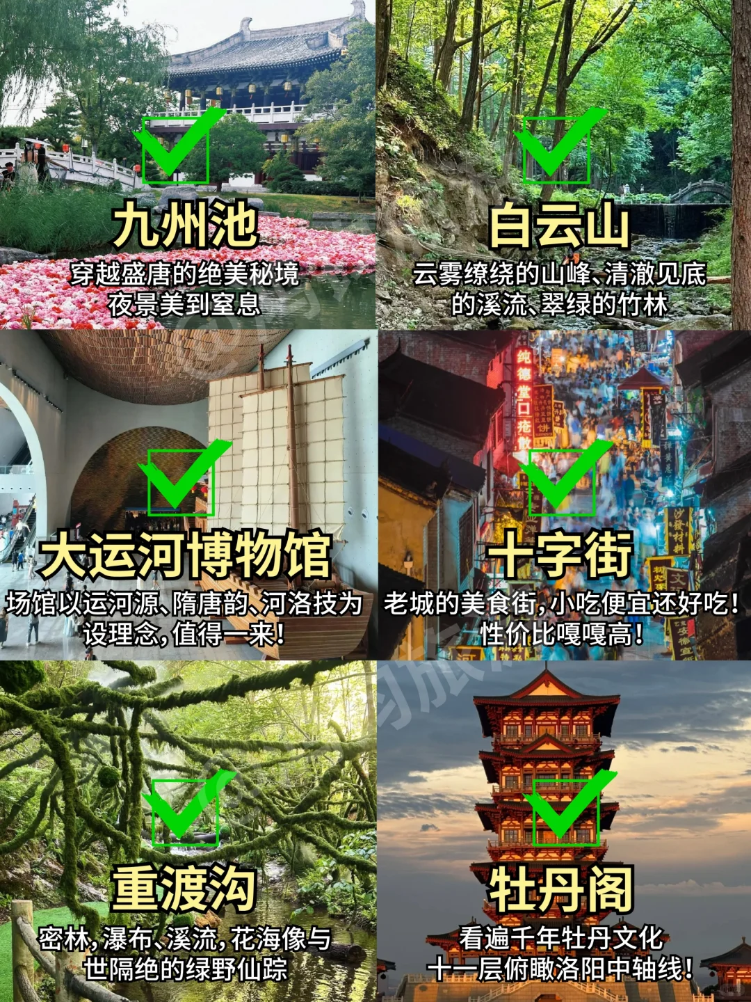 📍6.14洛阳已回。。我真的😭崩溃了……