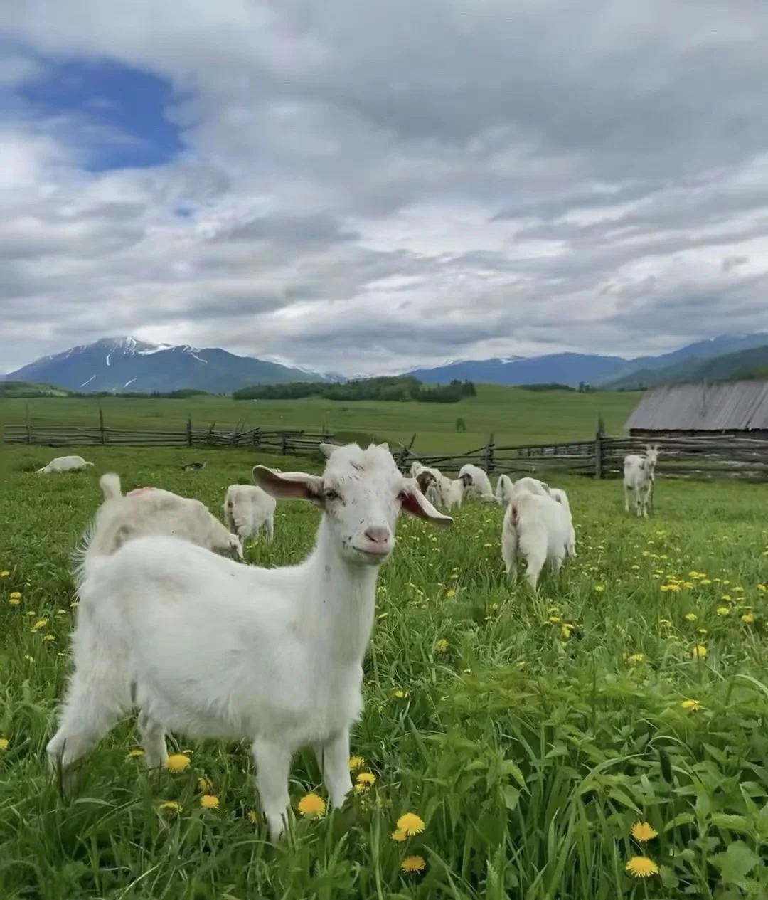 内蒙古|逃离城市计划
