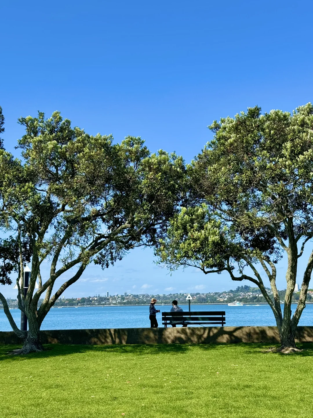 这个蓝是真实存在的！live图