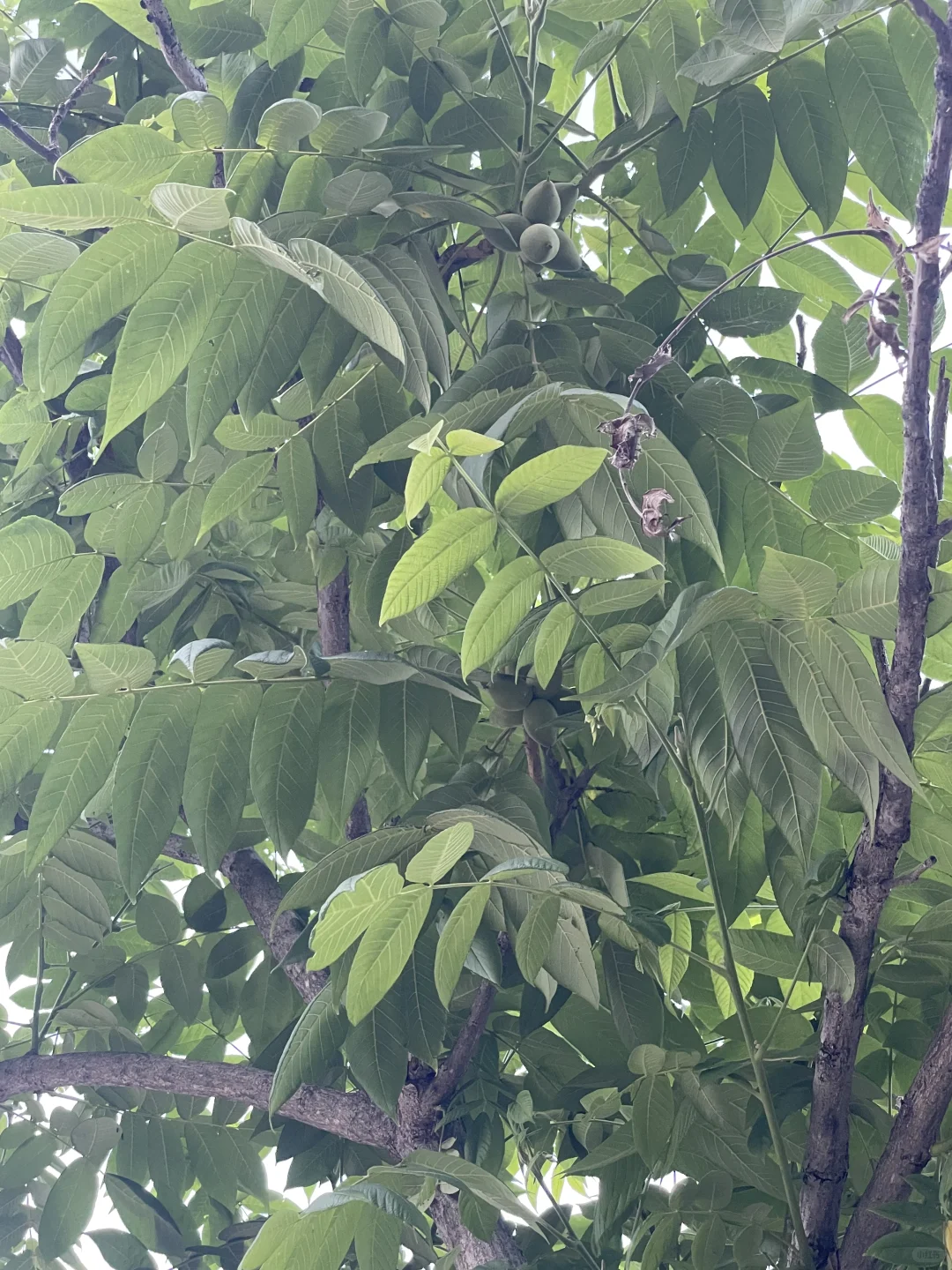 再战神堂峪，夏季遛娃戏水胜地！