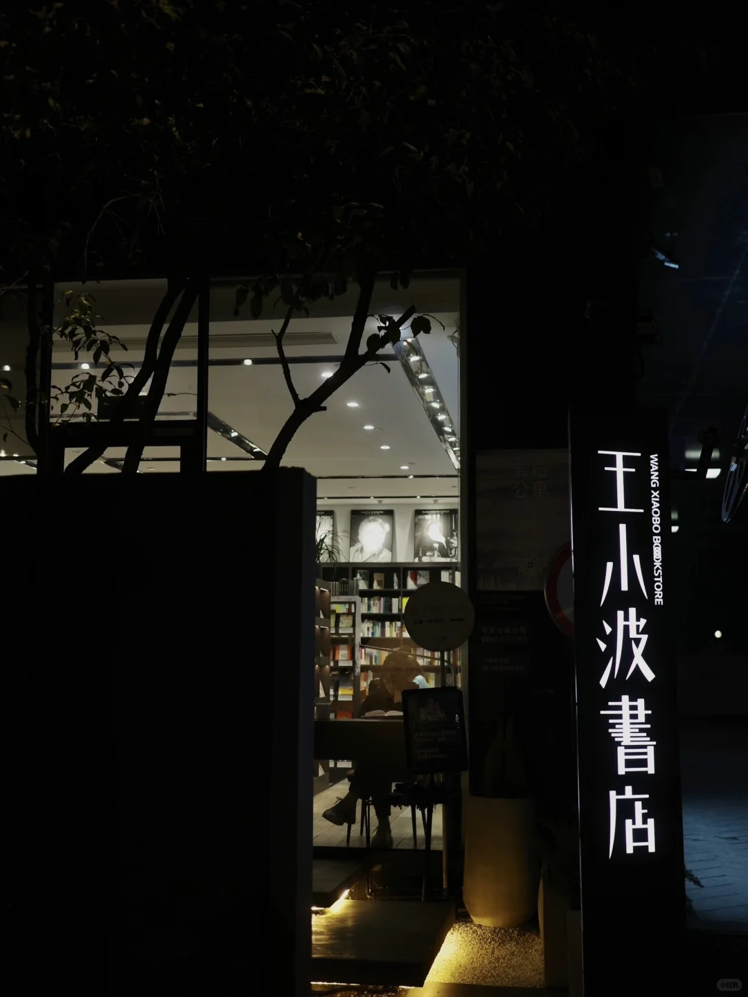 国内适合女生solotrip城市推荐（欢迎补充