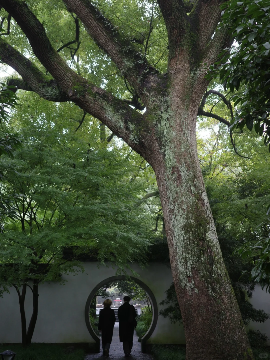 国内适合女生solotrip城市推荐（欢迎补充