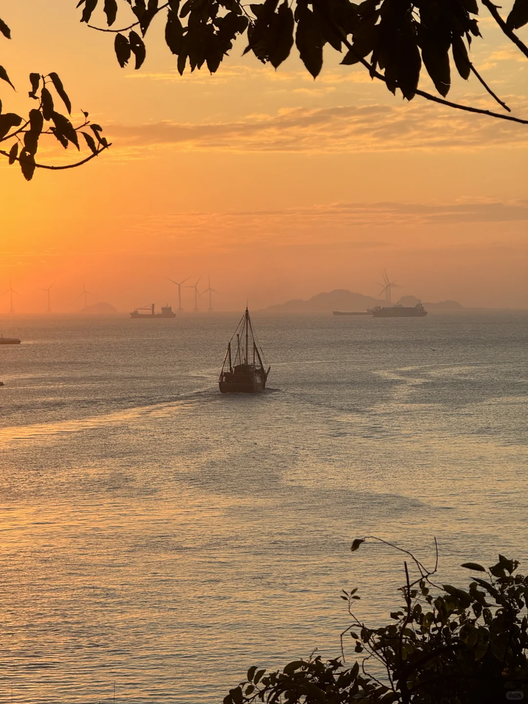 迄今为止,我去过国内最治愈的小众海岛🏝️