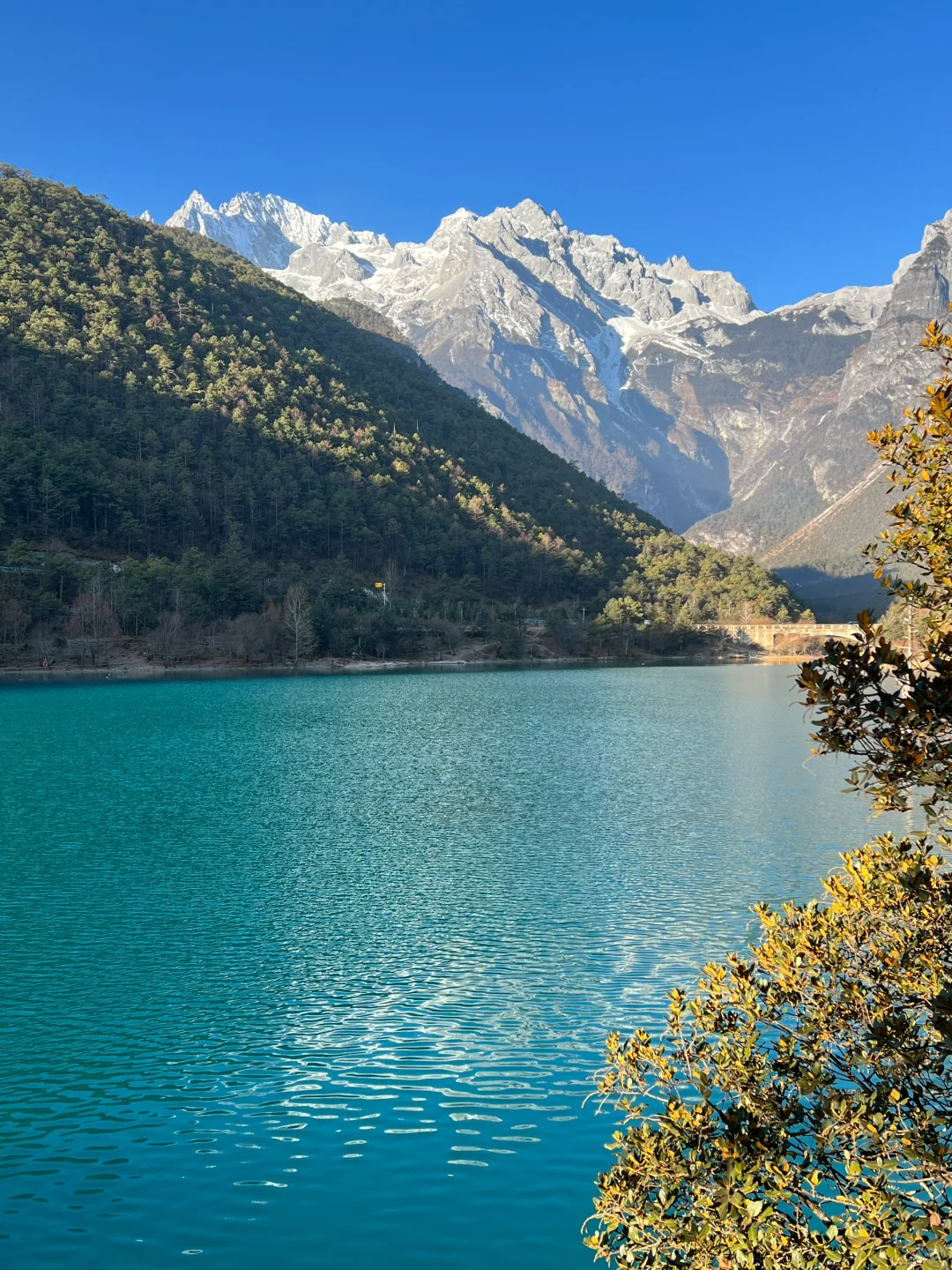 丽江已回…😭😭真诚提醒还未出行的。。。