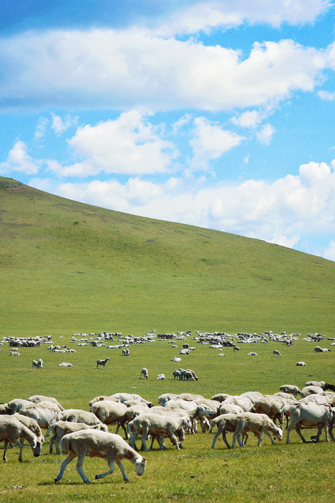 世界慢慢游｜把向往的路 都变成走过的地方