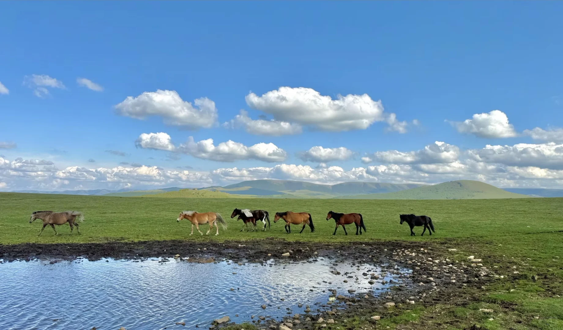 内蒙古|逃离城市计划