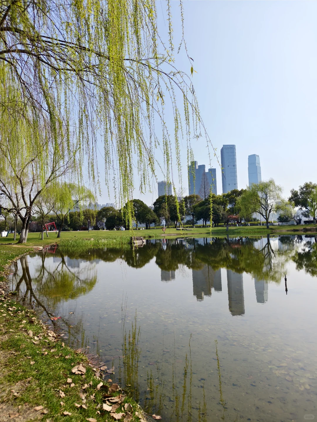 那些我尚未知道的美丽——长沙橘子洲