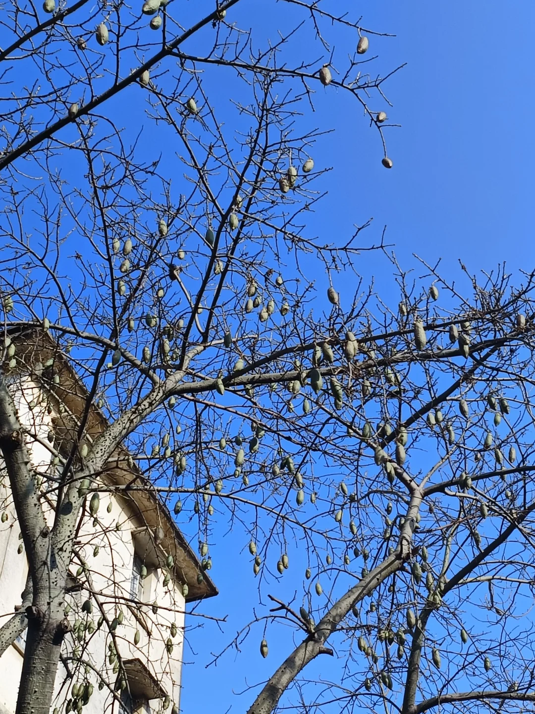 惠州西湖 水东街 752