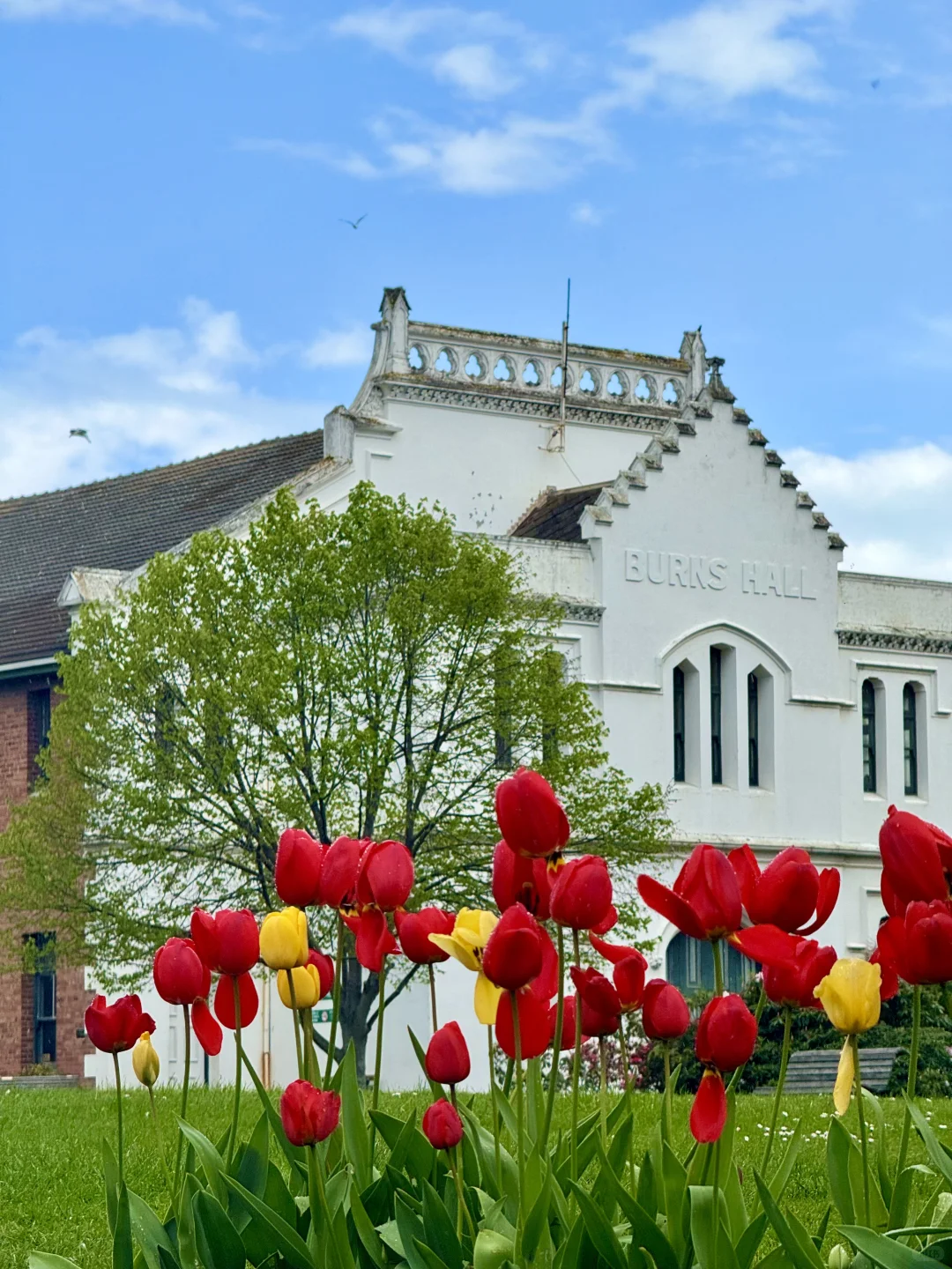 这个蓝是真实存在的！live图