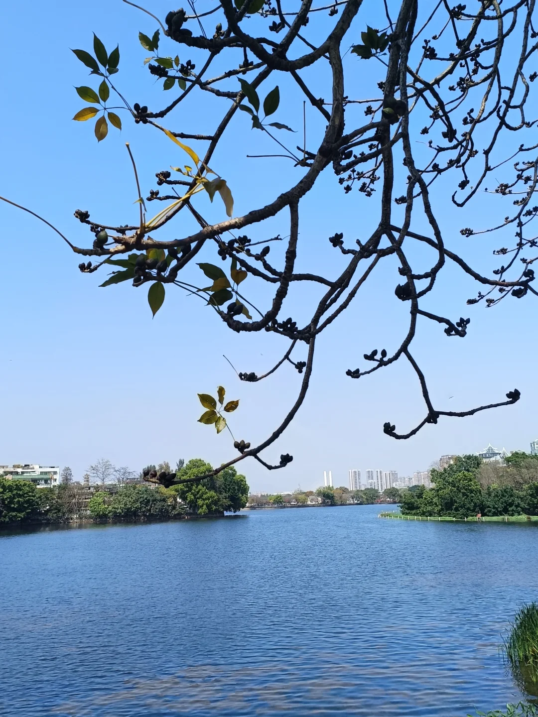 惠州西湖 水东街 752