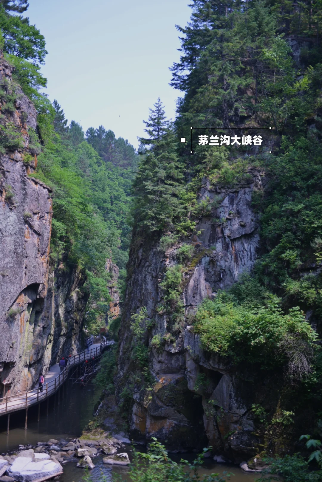 炎炎夏日，在20℃的伊春避暑🍃