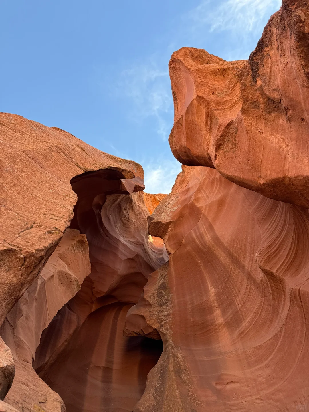 北美的天生旅游圣体表现在
