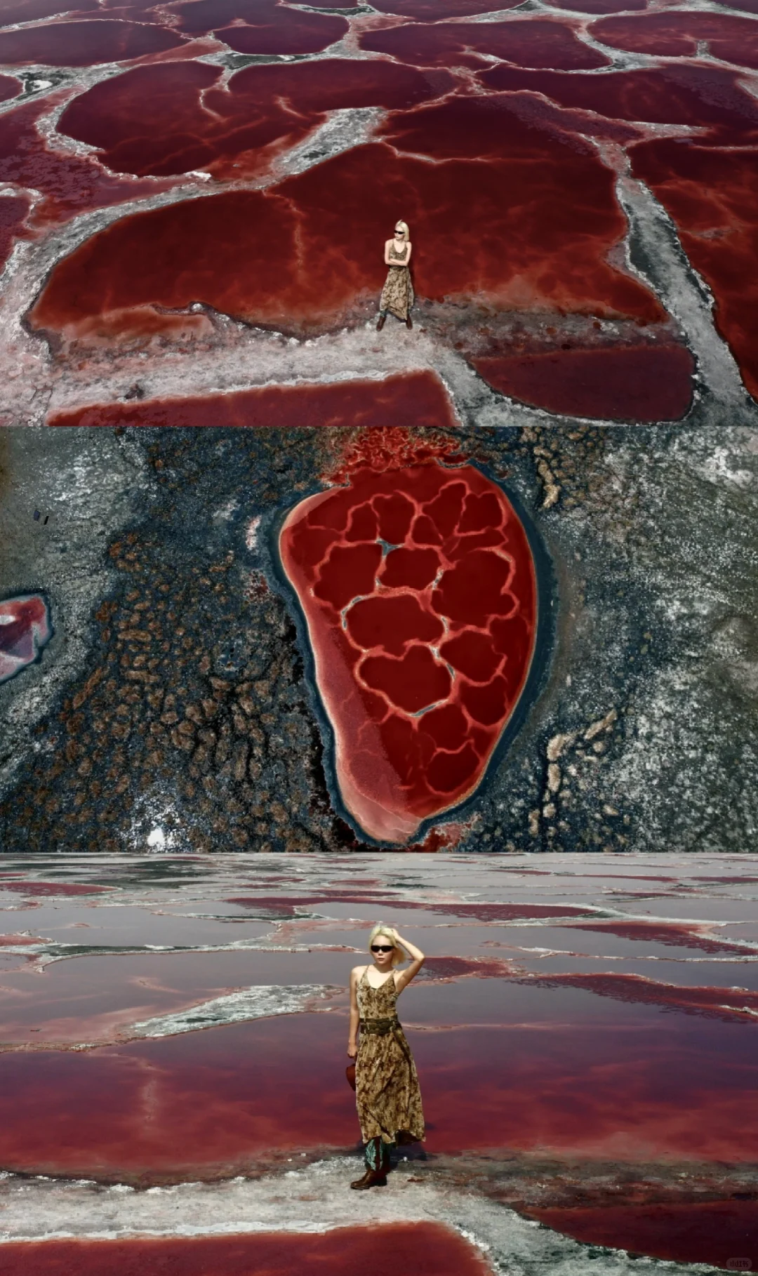 地球的心脏去了🫀没！白！活！