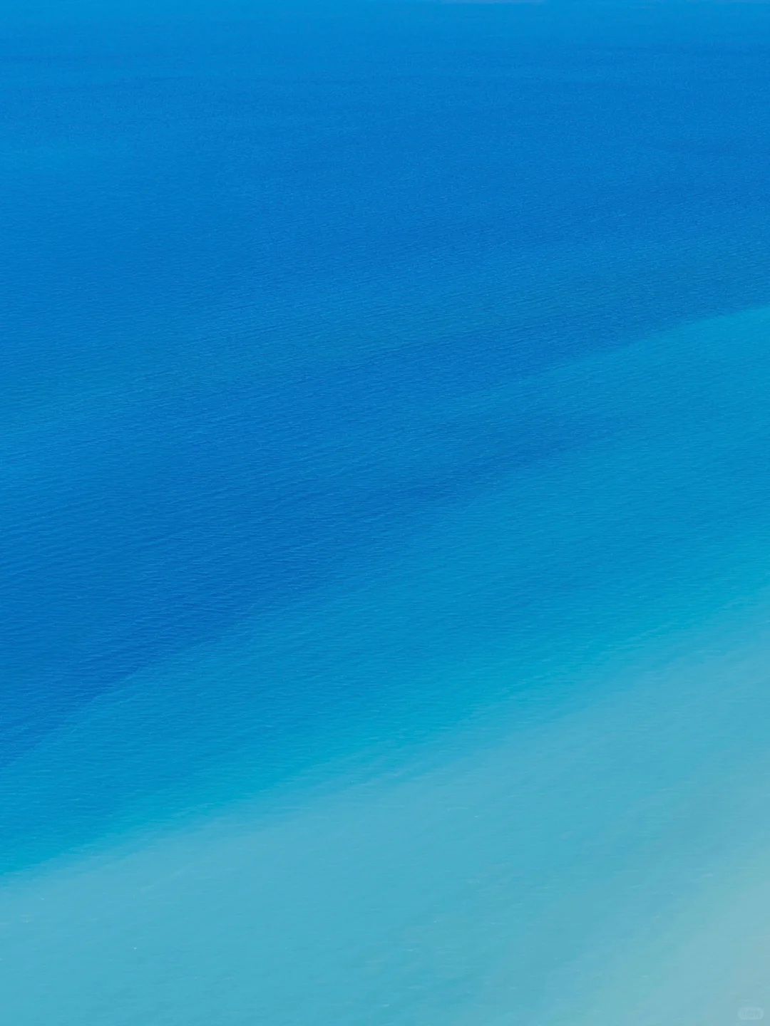 这个季节的赛里木湖真的美到next level…