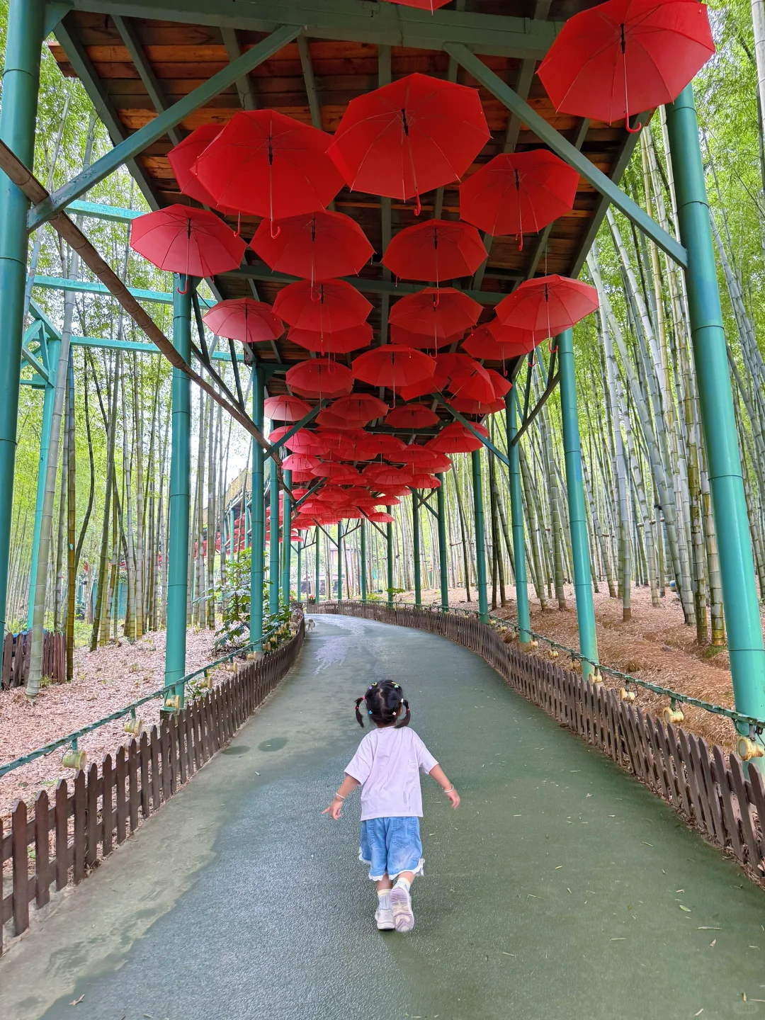 🎈宜兴遛娃|溶洞看钟乳石+玩陶土+看竹海✨