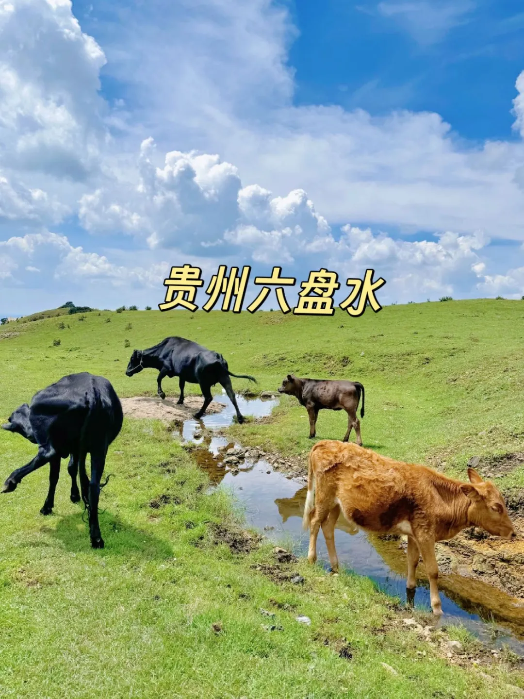 逃离酷暑！6到8月国内9大避暑胜地！