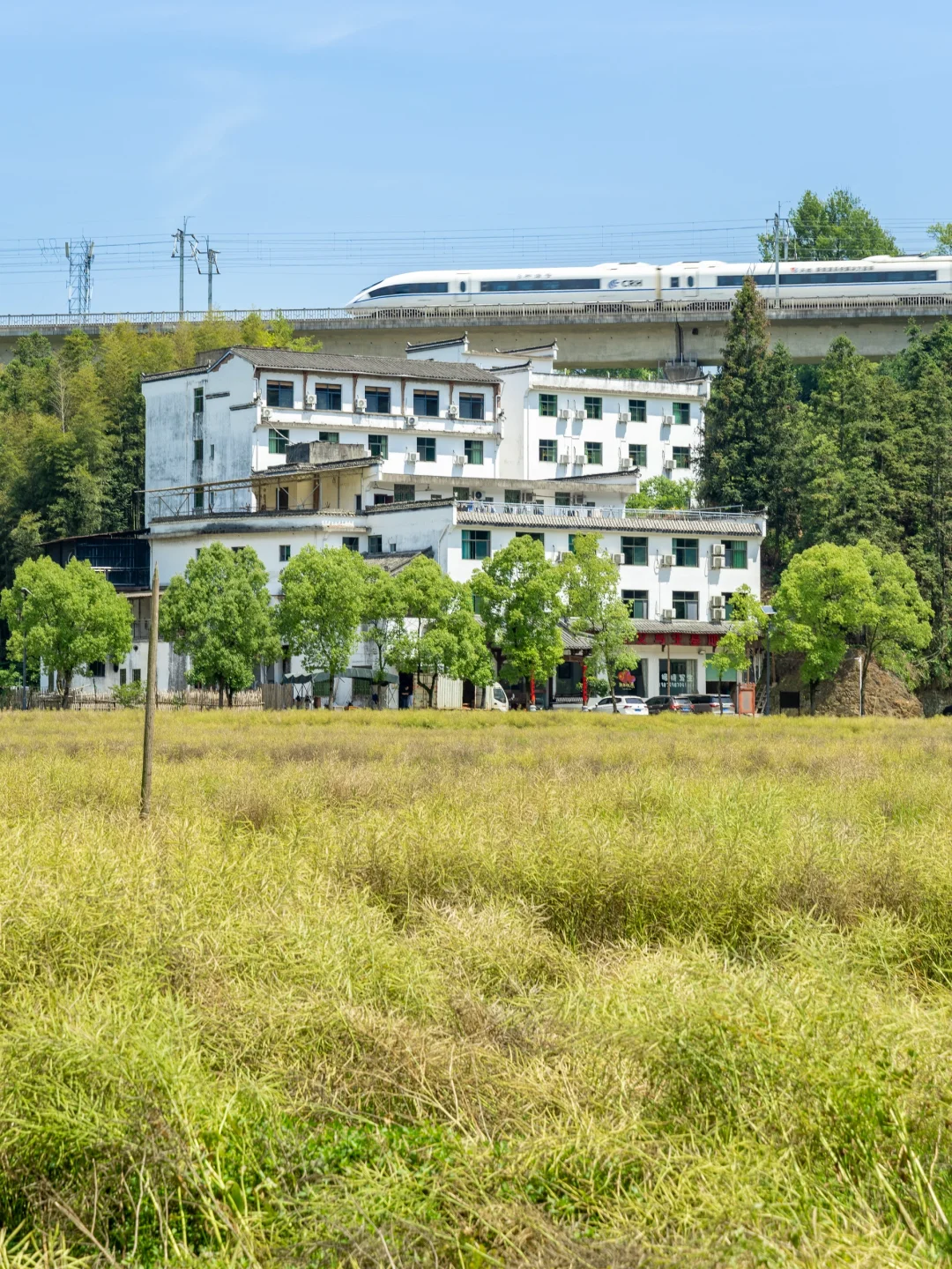 江浙沪周末出发，我最喜欢的去班味小城‼️