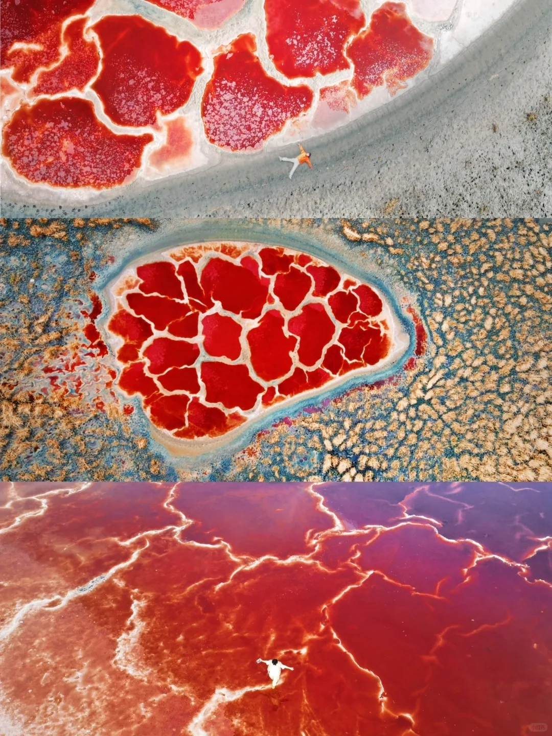 地球的心脏🫀我在小红书跟风最成功的一次…