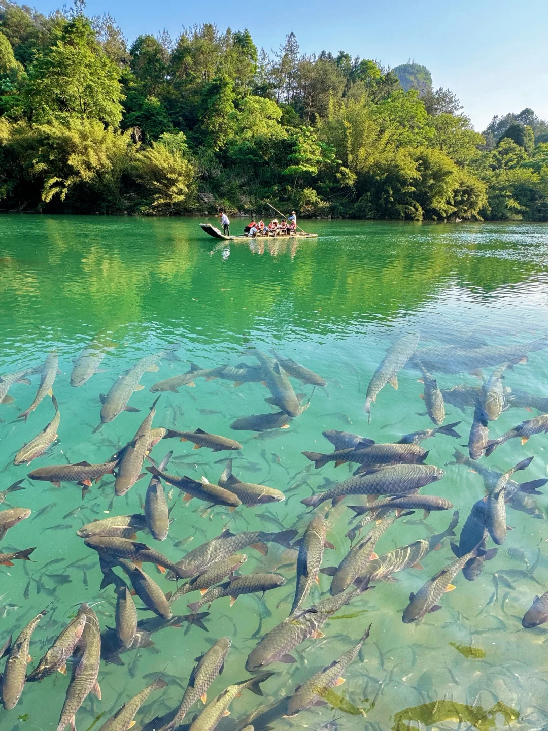 推荐一个绝对冷门但超级震撼的地方……