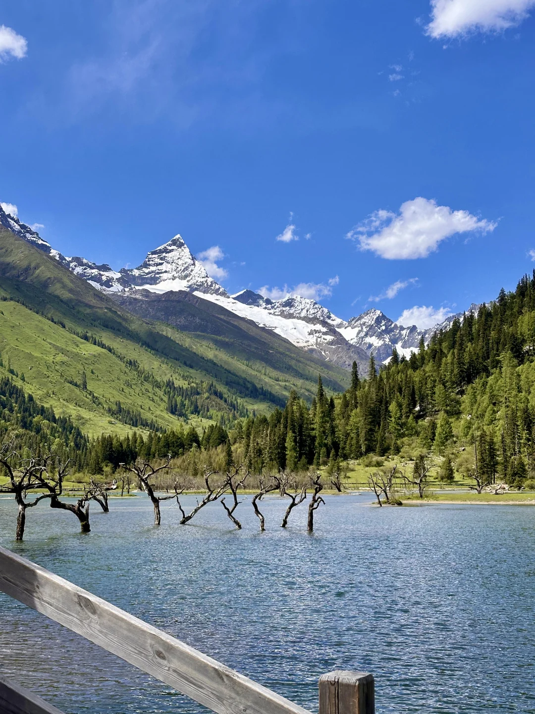 6.22📍四姑娘山已回，姐妹们能帮一个是一个