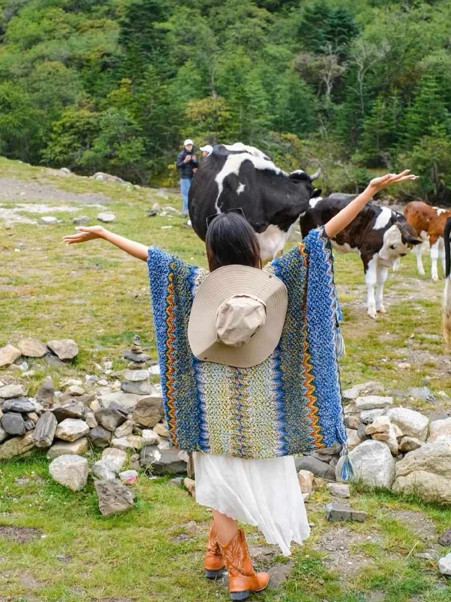 呼伦贝尔草原｜奔赴一场治愈系草原之约🌿