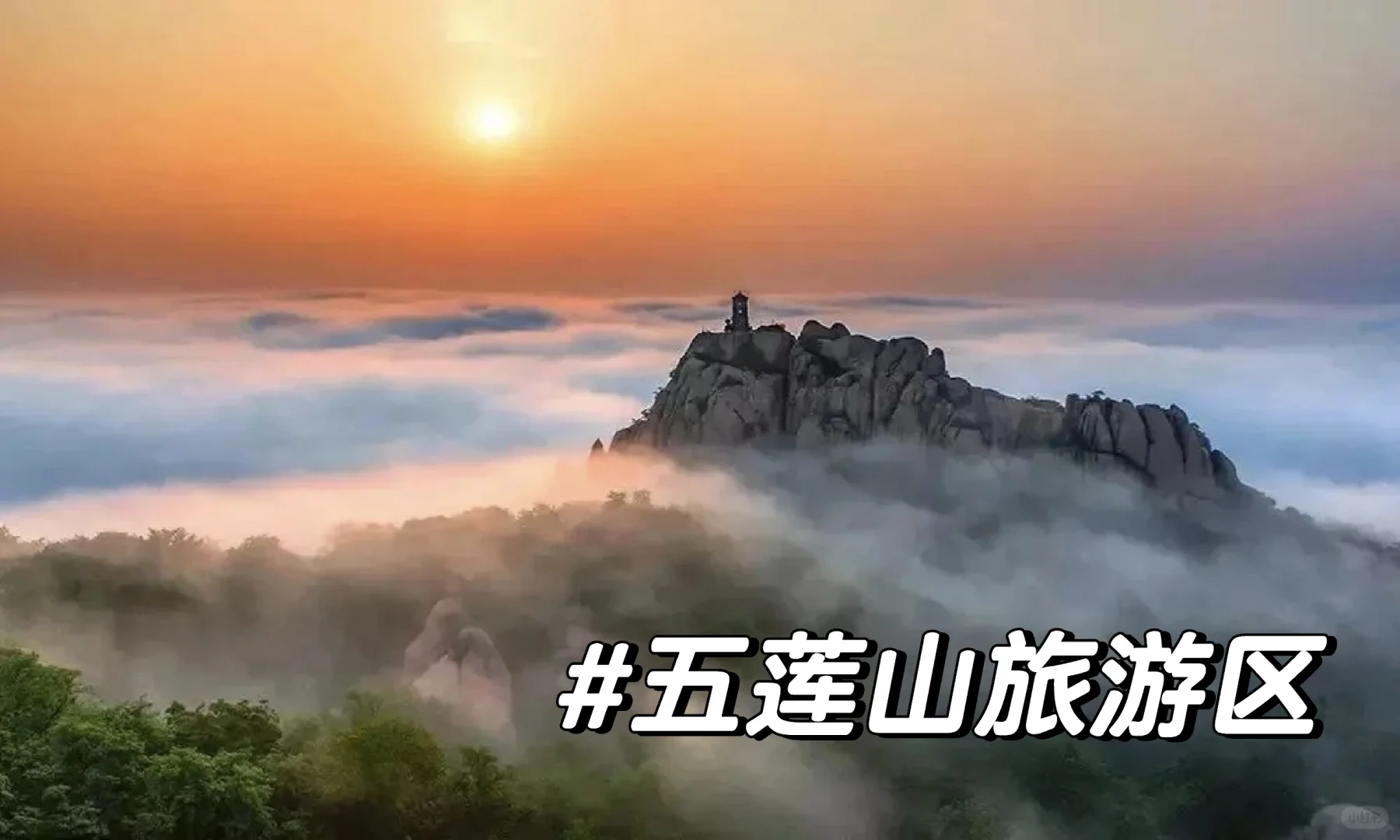 🌟持准考证免费游景区—山东省②