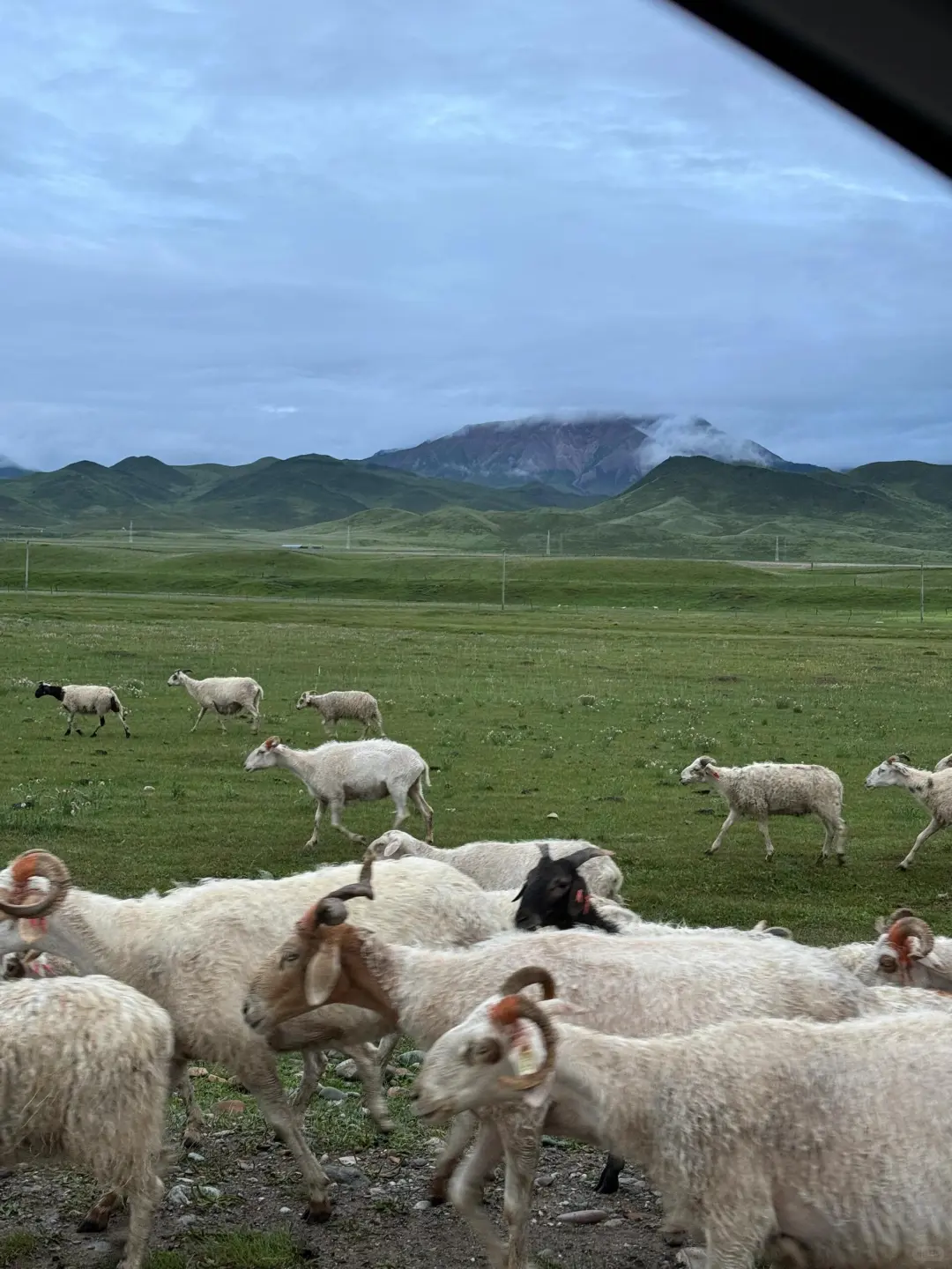 翻开这一页||才能读懂大西北的壮丽