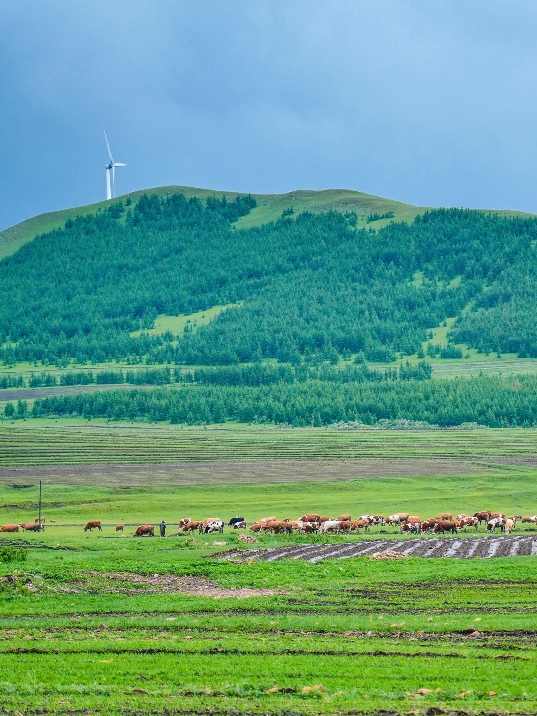不是呼伦贝尔！是北京🚗3h可达的小众秘境🍃