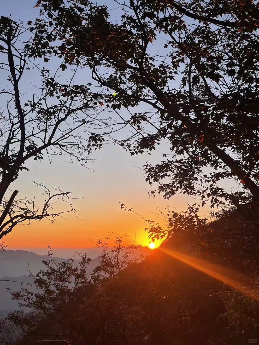 🌄远赴人间惊鸿宴，老君山上遇神仙