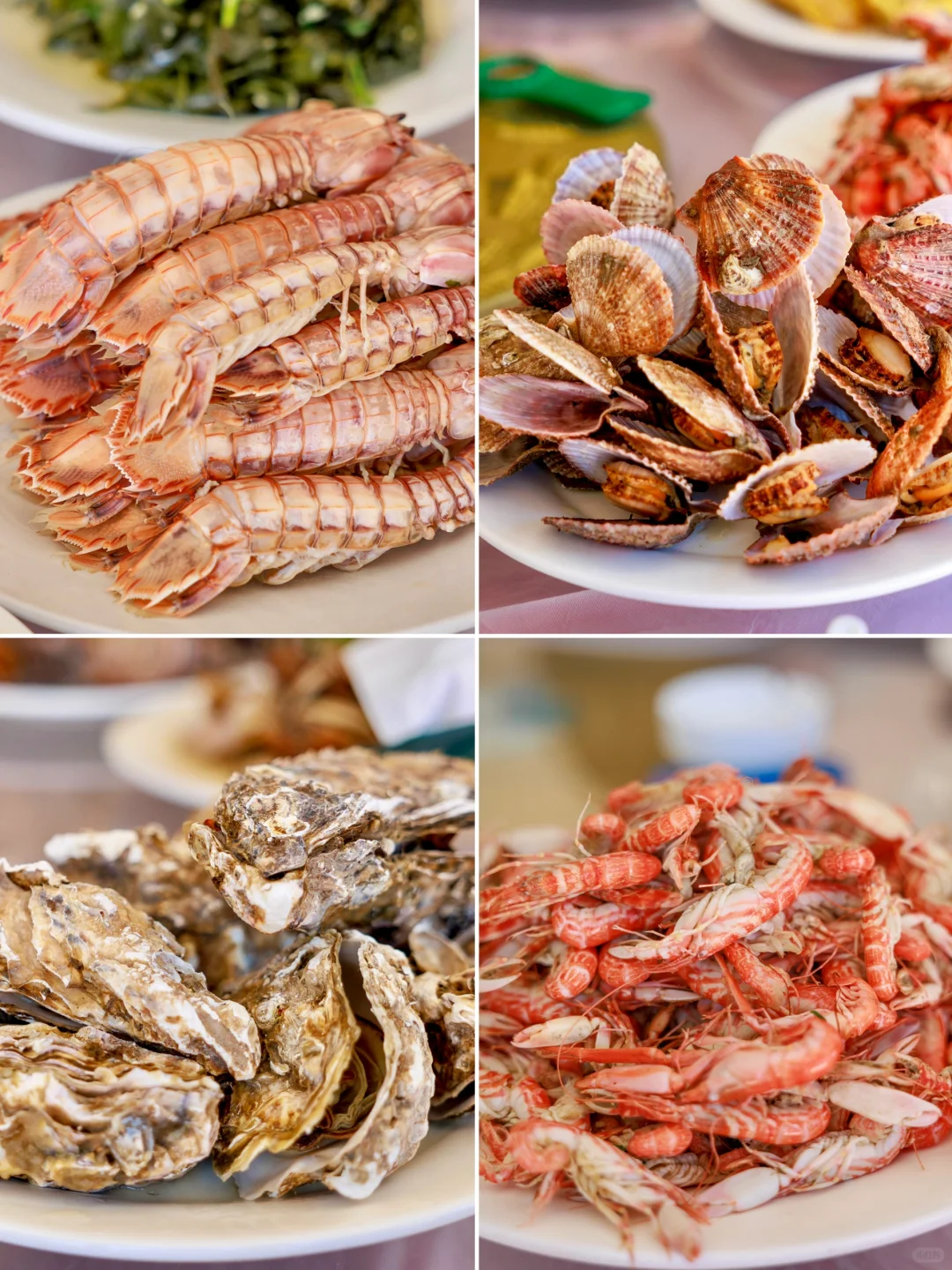 离天津最近的🏖隐世浪漫小岛，被我找到了❗️